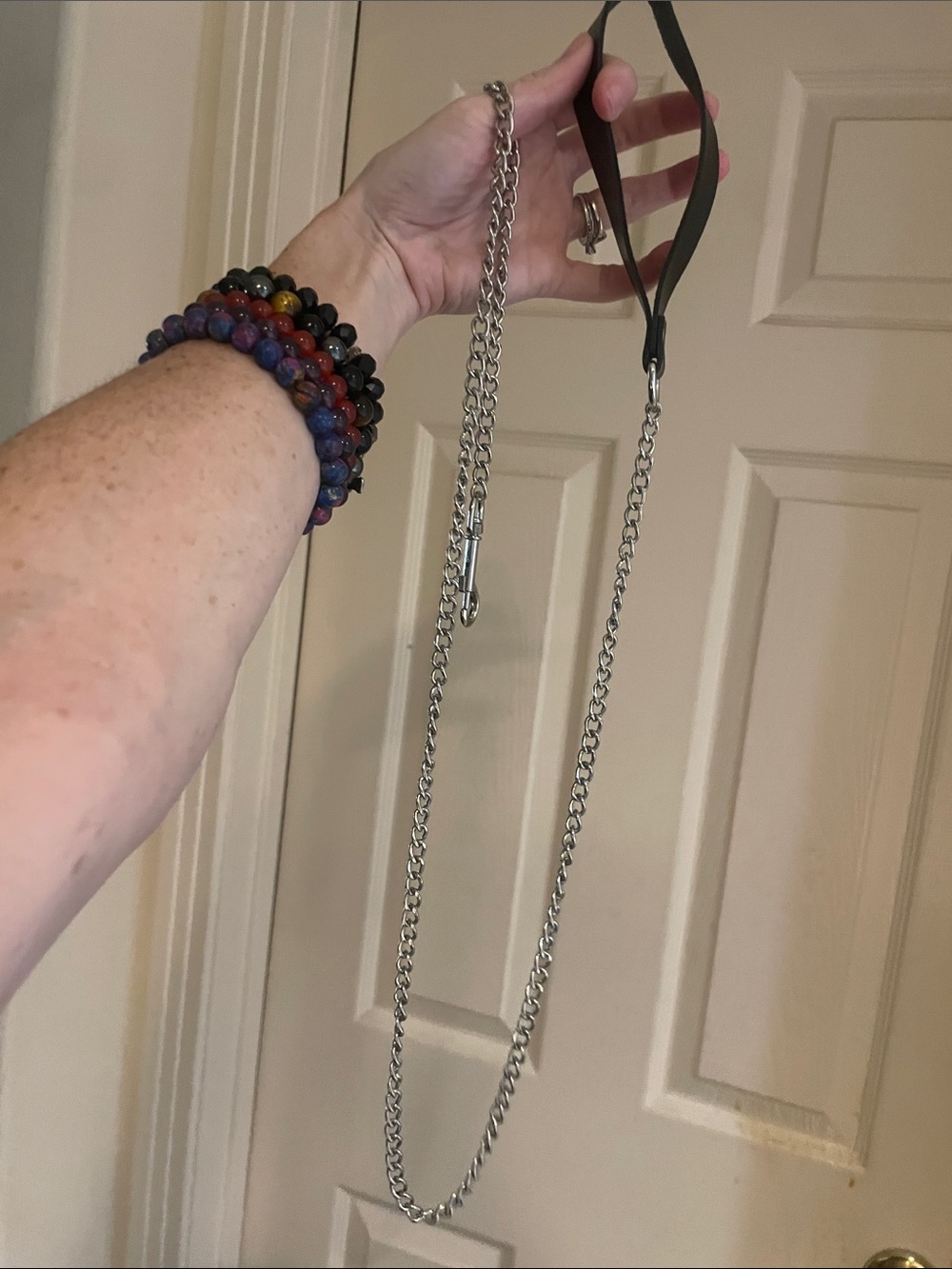 Black & Silver Leash
